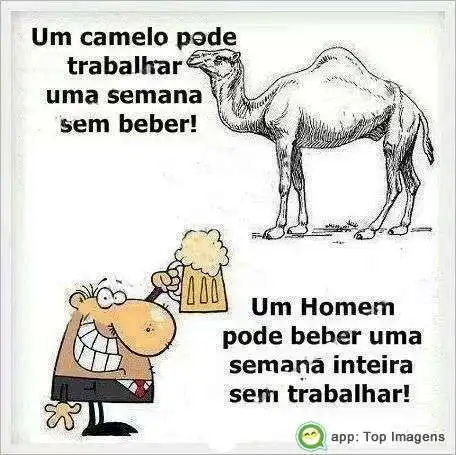 Diferença entre homem e camelo