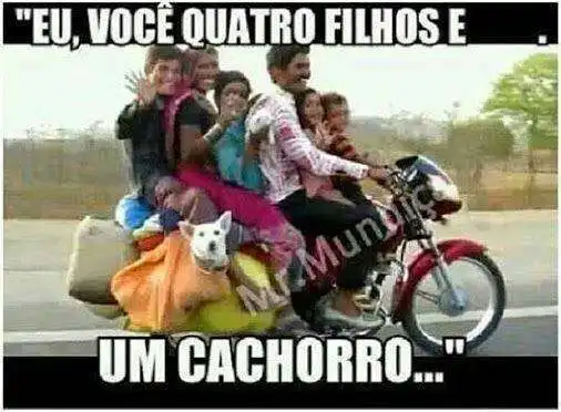 Eu, você, quatro filhos e um cachorro