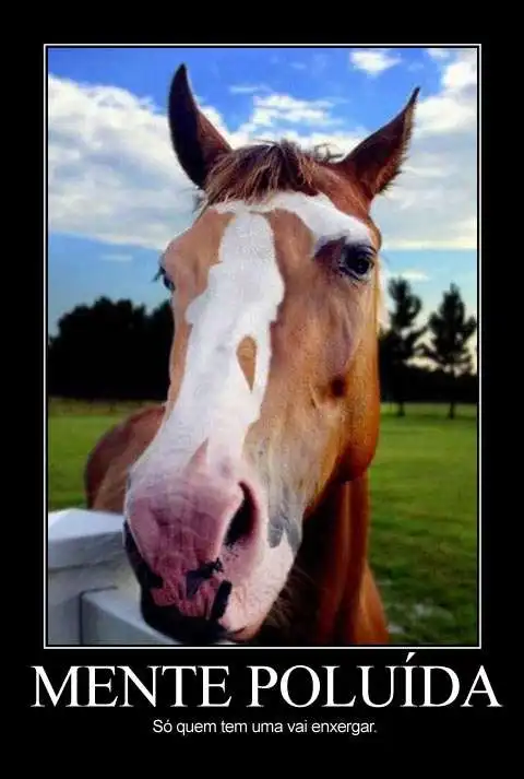 Atenção aos detalhes