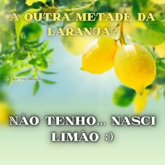 A outra metade da laranja