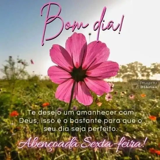 Abençoada sexta-feira - Imagens Diárias - 18826 Abençoada sexta-feira - Imagens Diárias - 18826