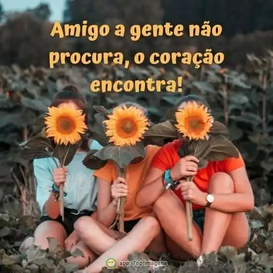 Amigo a gente não escolhe