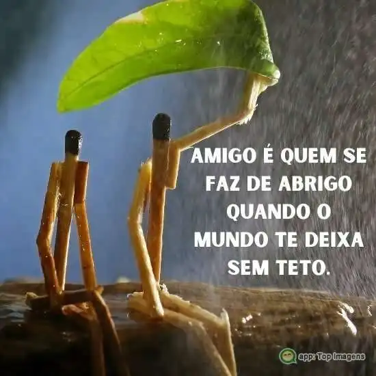 Amigo que se faz de abrigo