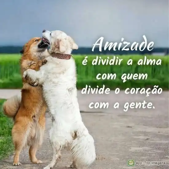 Amizade é dividir