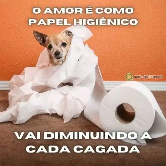 Amor é como papel higiênico