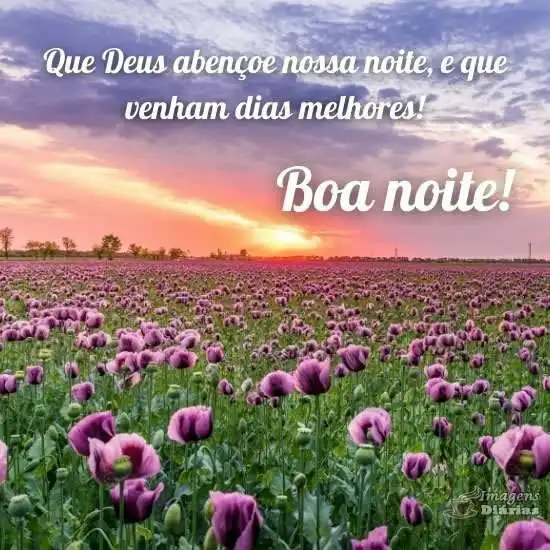 Boa noite