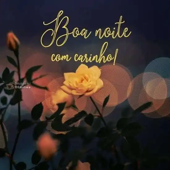 Boa noite