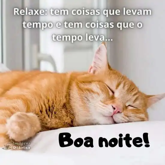 Boa noite