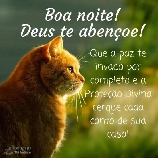 Boa noite