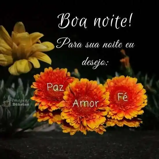 Boa noite