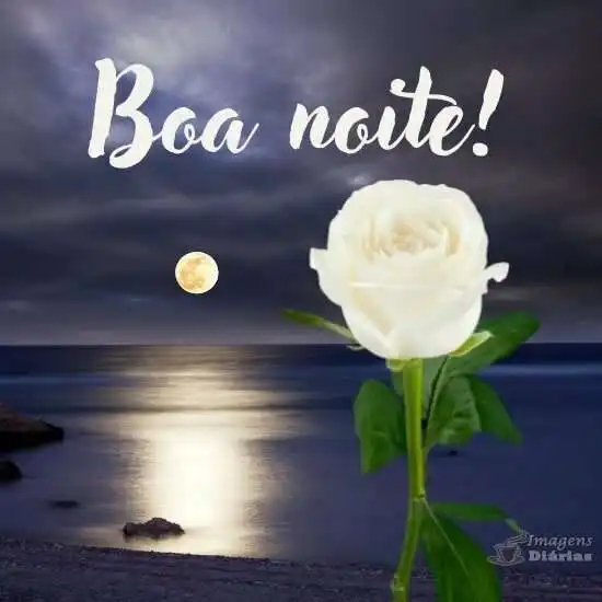 Boa noite