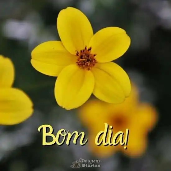 Bom dia