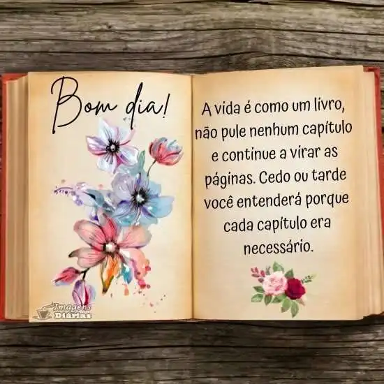 Bom dia