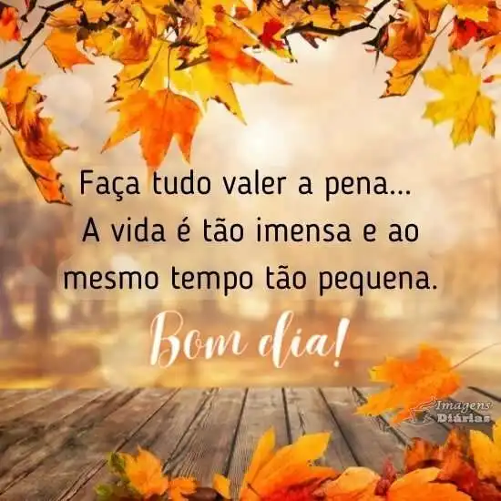 Bom dia - Imagens Diárias - 19035 Bom dia - Imagens Diárias - 19035