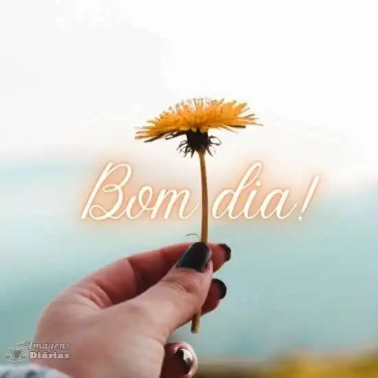 Bom dia