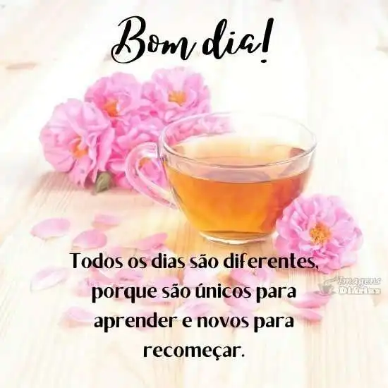 Bom dia