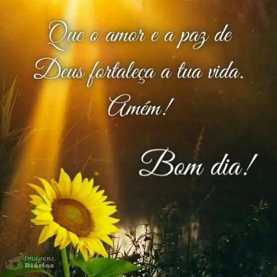 Bom dia