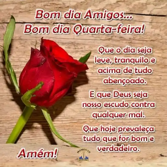 Bom dia quarta-feira