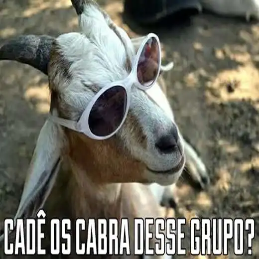 Cabras do grupo
