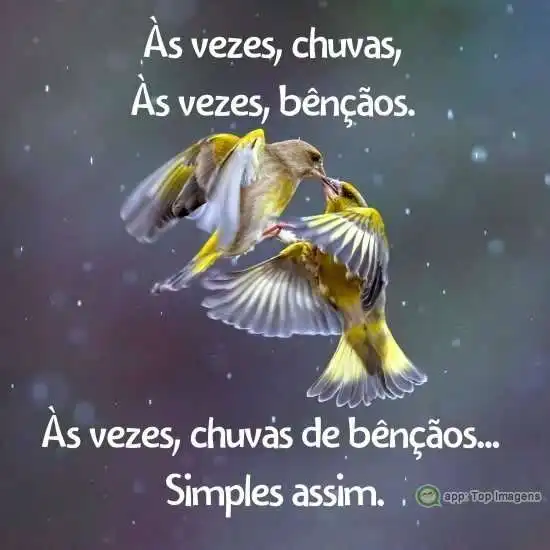 Chuvas de bênçãos