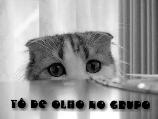 De olho no grupo