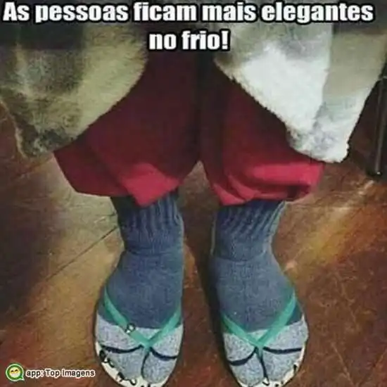 Elegantes no frio