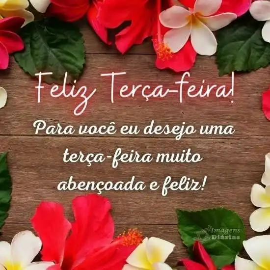 Feliz terça-feira