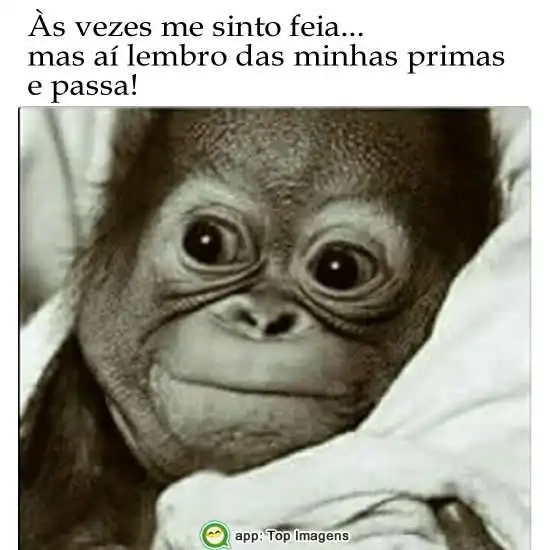 Lembrando das primas