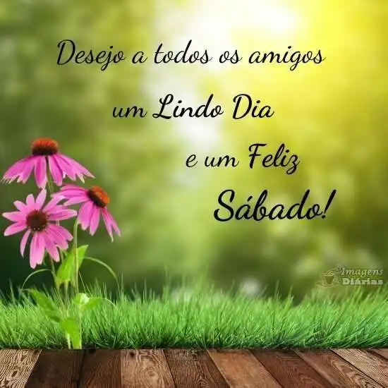 Lindo dia e feliz sábado