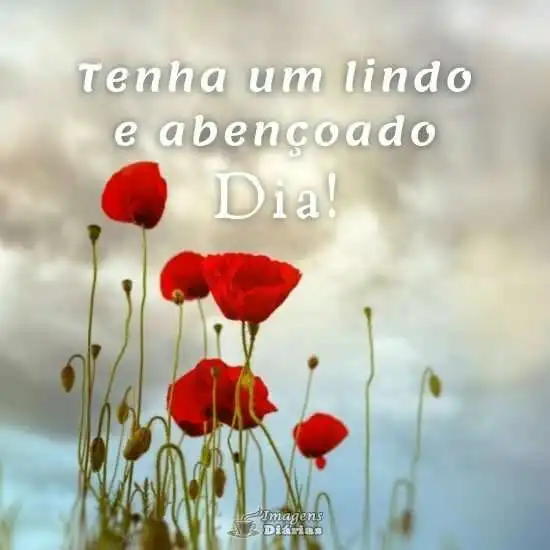 Lindo e abençoado dia
