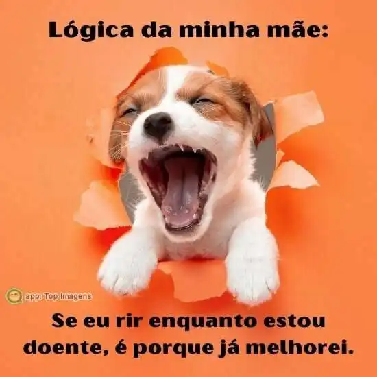 Lógica da minha mãe