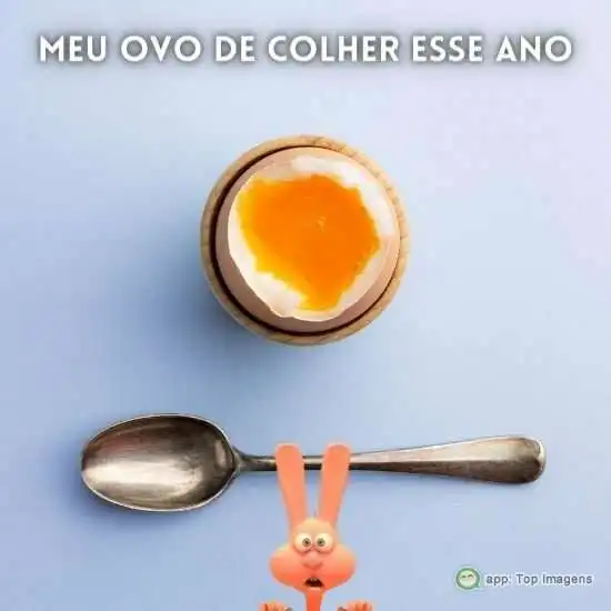 Meu ovo de colher esse ano