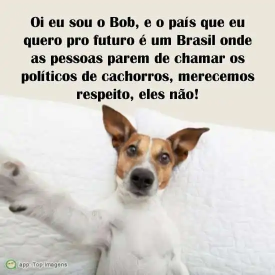 País que eu quero