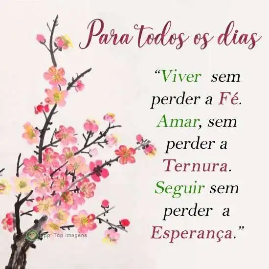 Para todos os dias