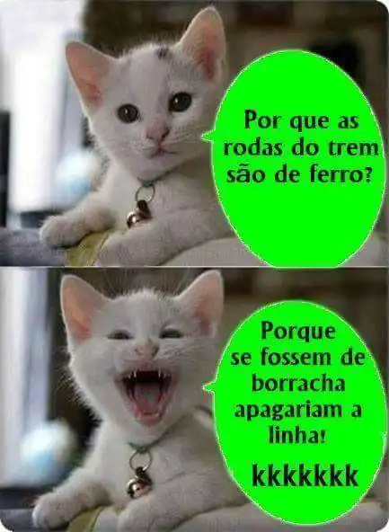 Piada do gatinho e o trem