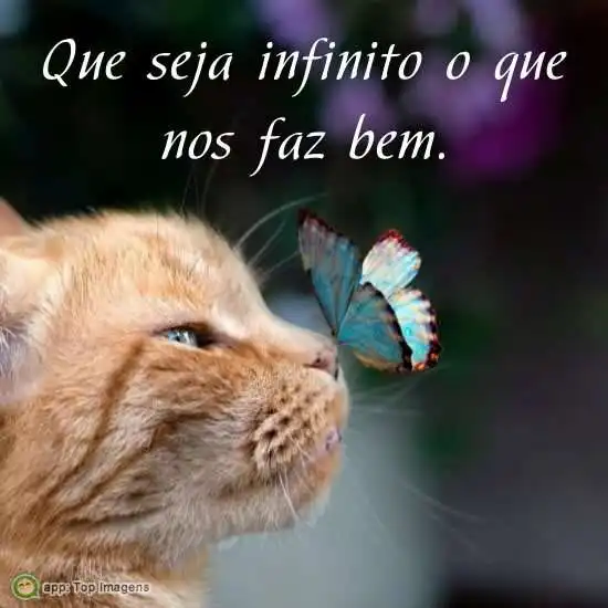 Que seja infinito o que nos faz bem
