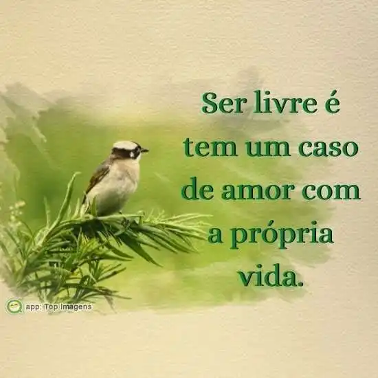 Ser livre