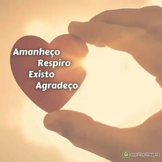 Amanheço, respiro, existo e agradeço
