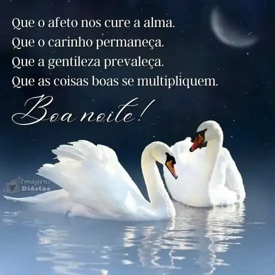 Boa noite