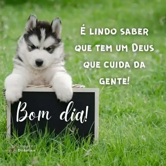Bom dia
