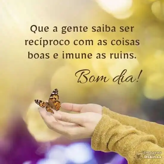 Bom dia