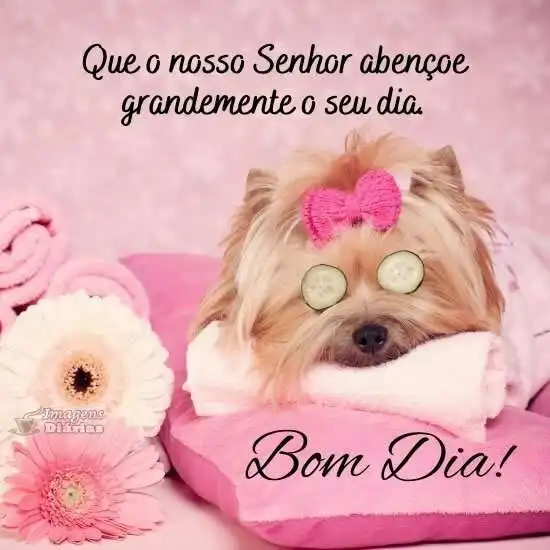 Bom dia
