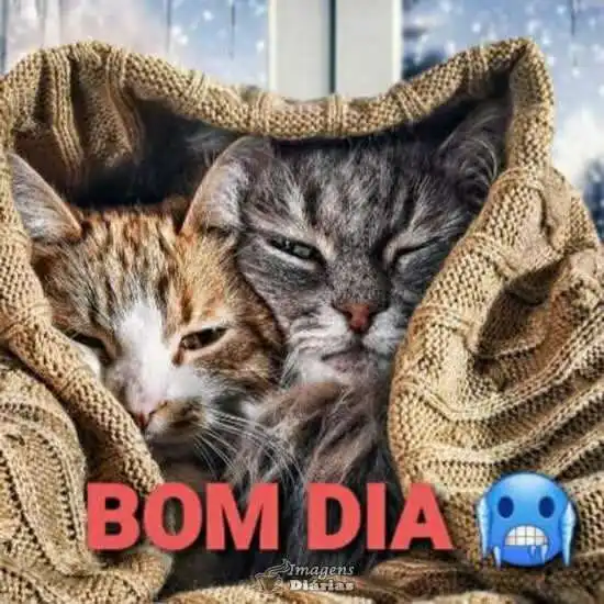 Bom dia