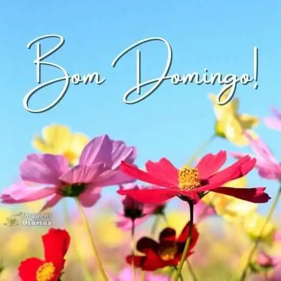 Bom domingo