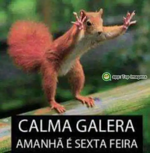 Calma amanhã é sexta-feira
