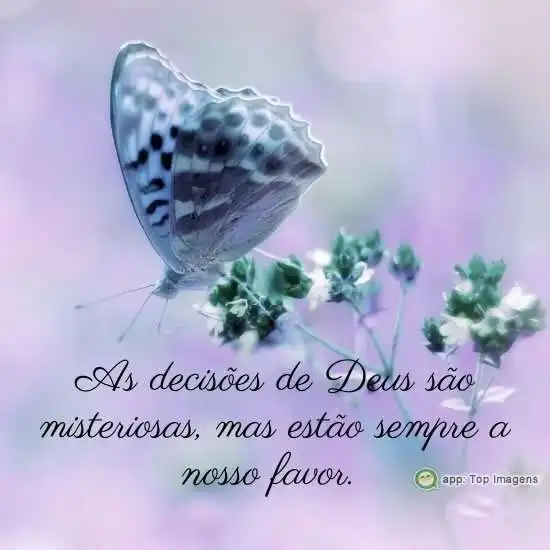 Decisões de Deus