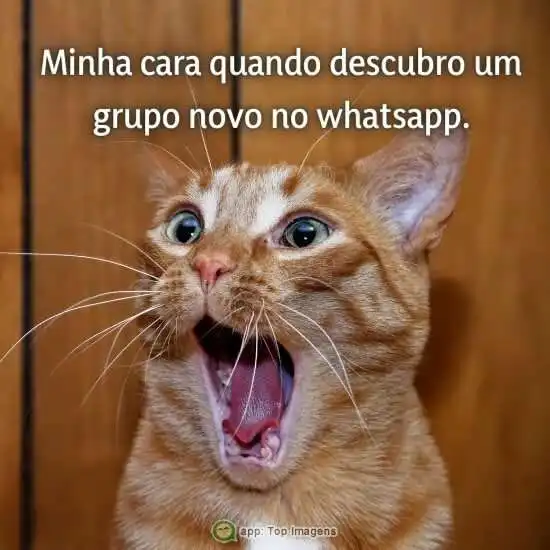 Grupo novo no whatsapp