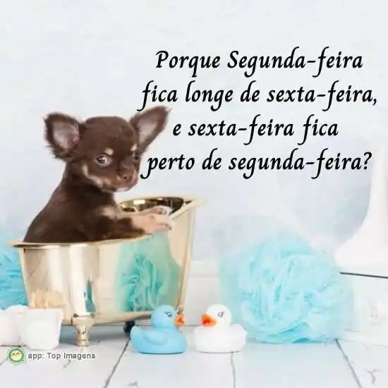 Longe de sexta-feira