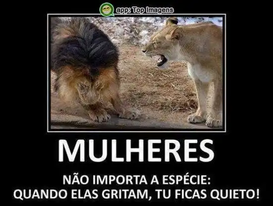 Não importa a espécie