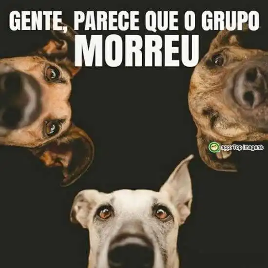 Parece que o grupo morreu